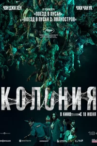  Колония 