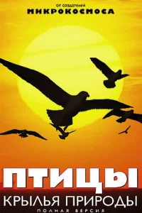  Птицы: Крылья природы 