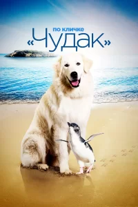  По кличке «Чудак» 